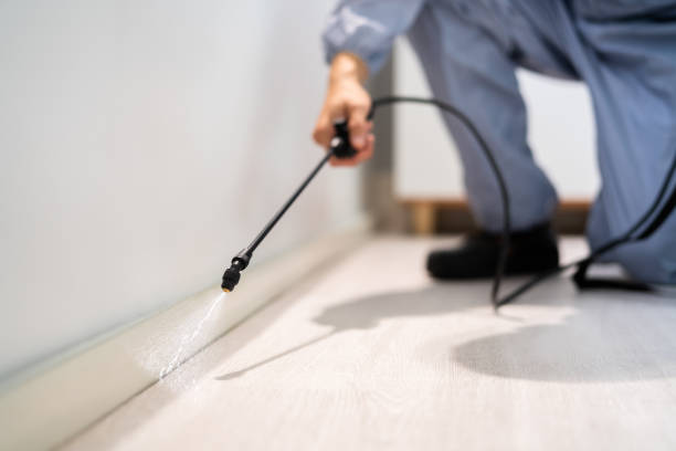 Bed Bug Pre-Treatment Preparation Assessment in Hamlet