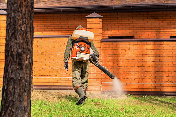 Bed Bug Clearance Verification and Documentation in Hamlet